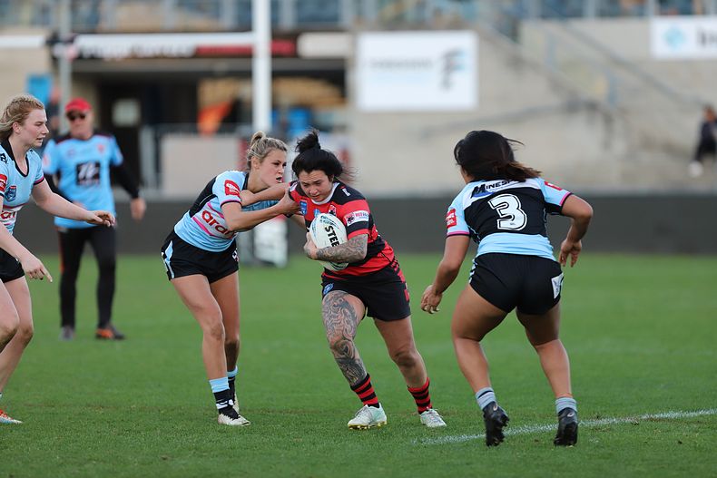 HNWP Rnd 8 SHARKS v BEARS
