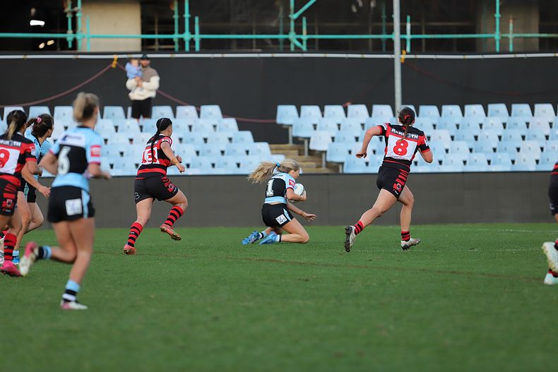 HNWP Rnd 8 SHARKS v BEARS