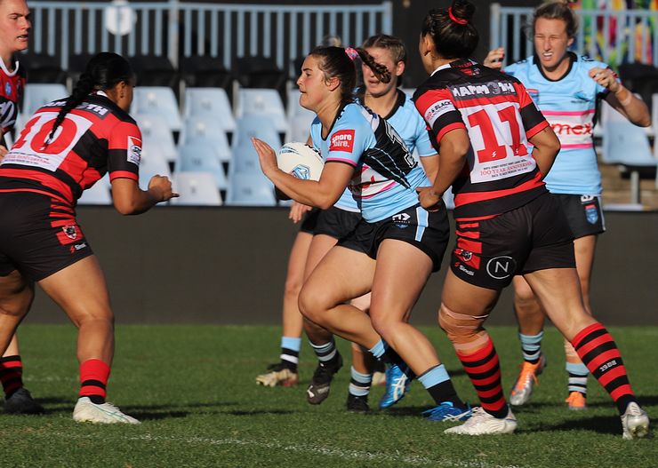 HNWP Rnd 8 SHARKS v BEARS