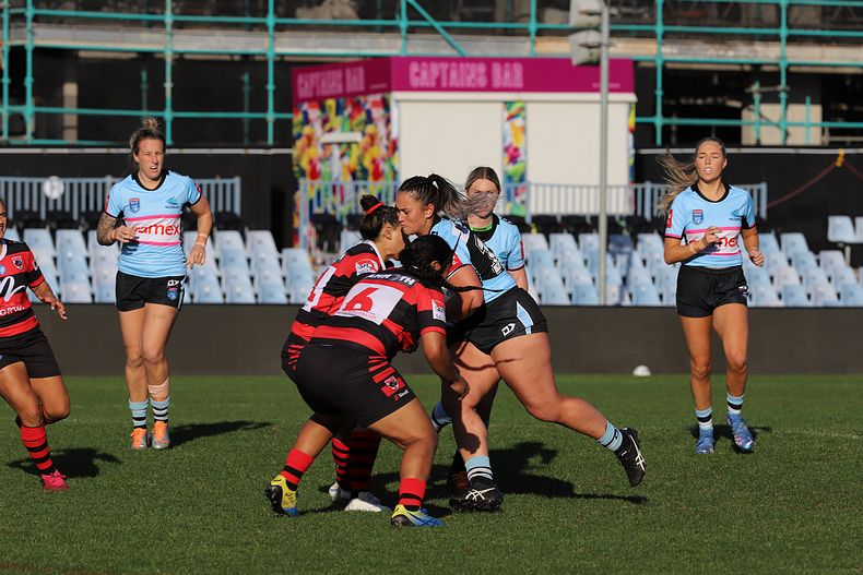 HNWP Rnd 8 SHARKS v BEARS