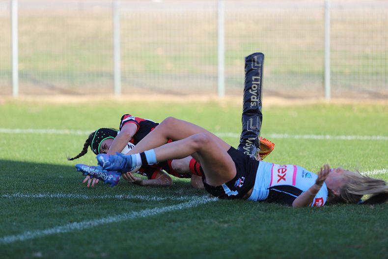 HNWP Rnd 8 SHARKS v BEARS