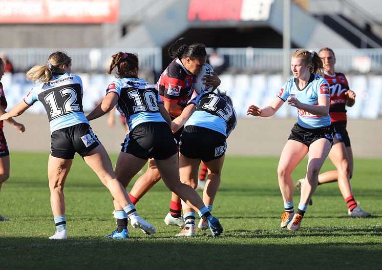 HNWP Rnd 8 SHARKS v BEARS