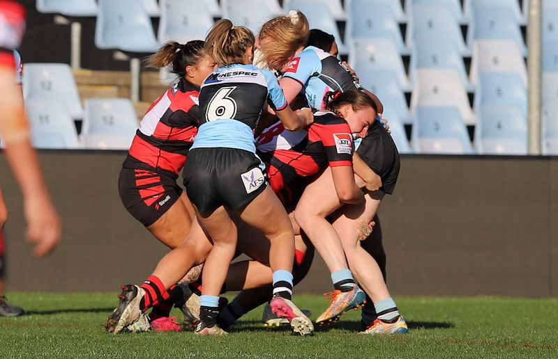 HNWP Rnd 8 SHARKS v BEARS