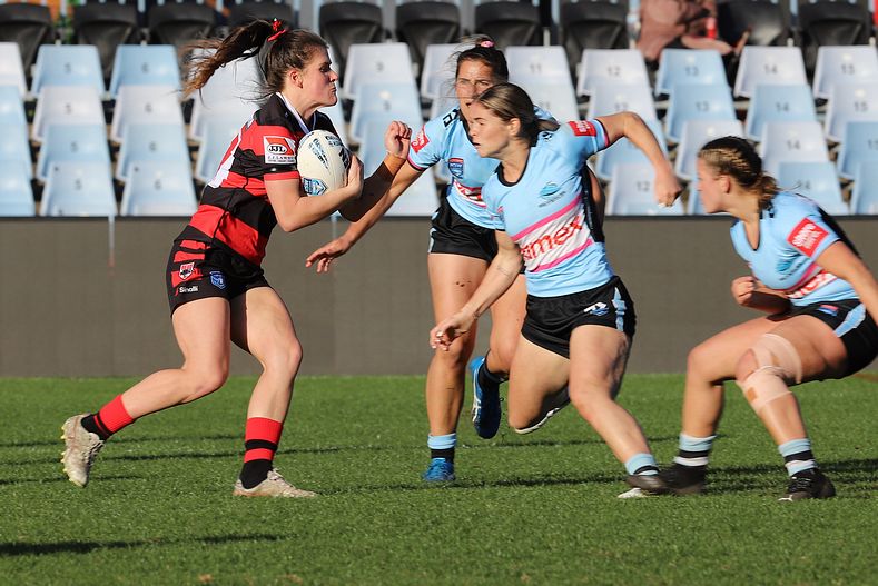 HNWP Rnd 8 SHARKS v BEARS