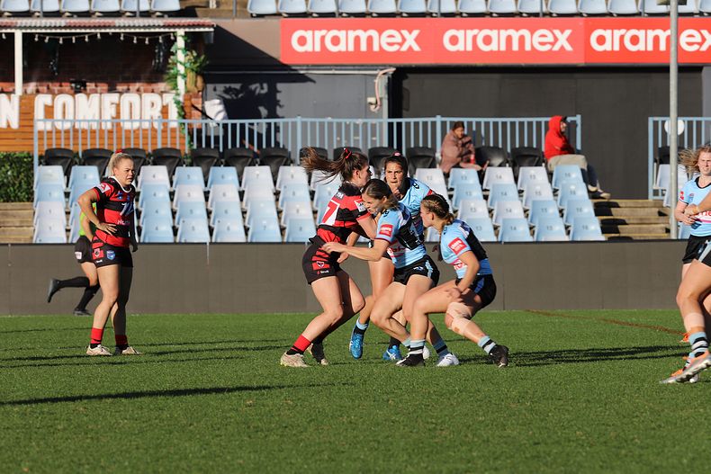 HNWP Rnd 8 SHARKS v BEARS