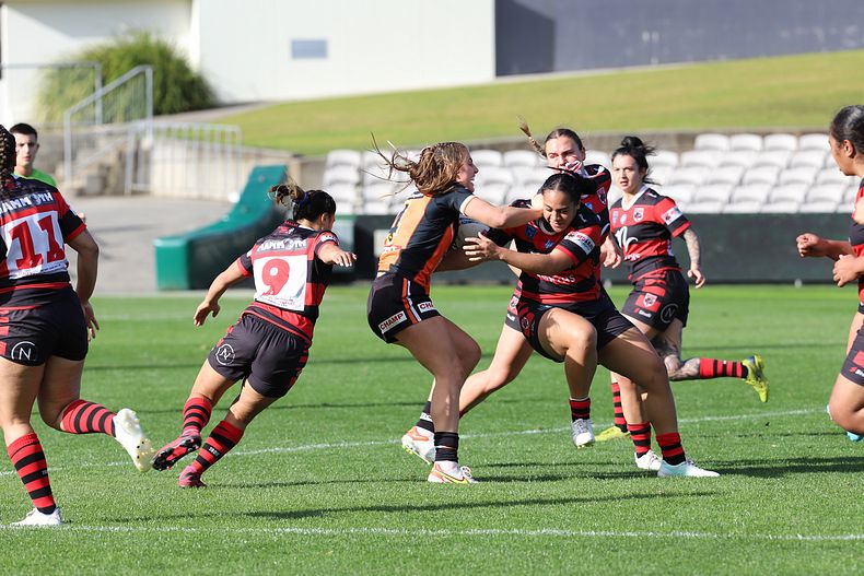 HNWP Semi Final BEARS v WESTSTIGERS