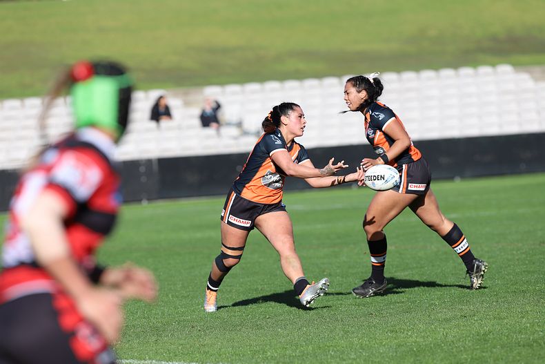 HNWP Semi Final BEARS v WESTSTIGERS