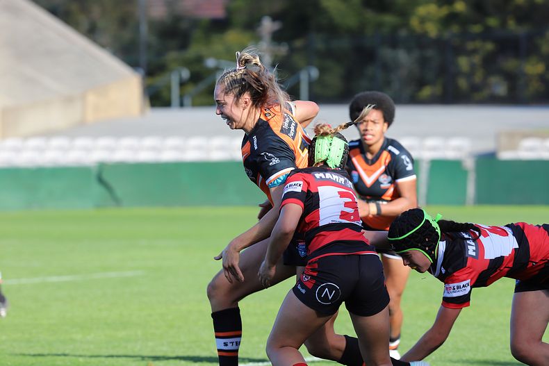 HNWP Semi Final BEARS v WESTSTIGERS