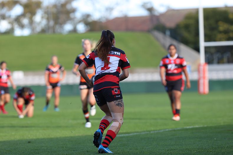 HNWP Semi Final BEARS v WESTSTIGERS