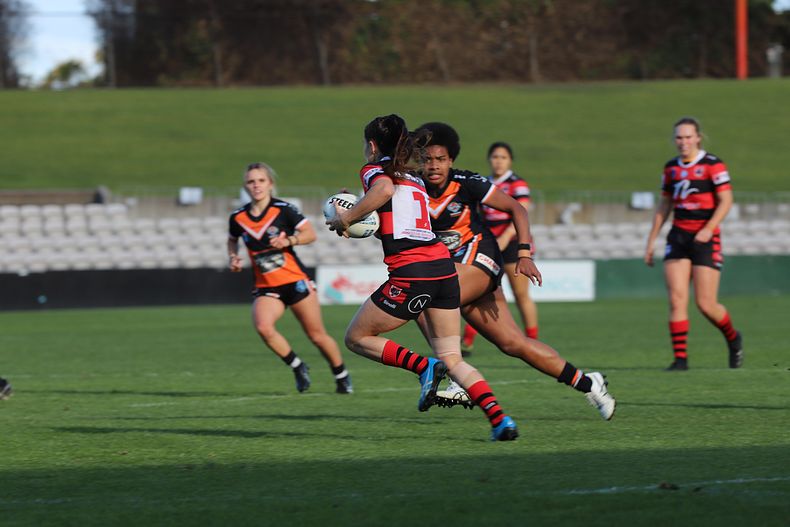 HNWP Semi Final BEARS v WESTSTIGERS