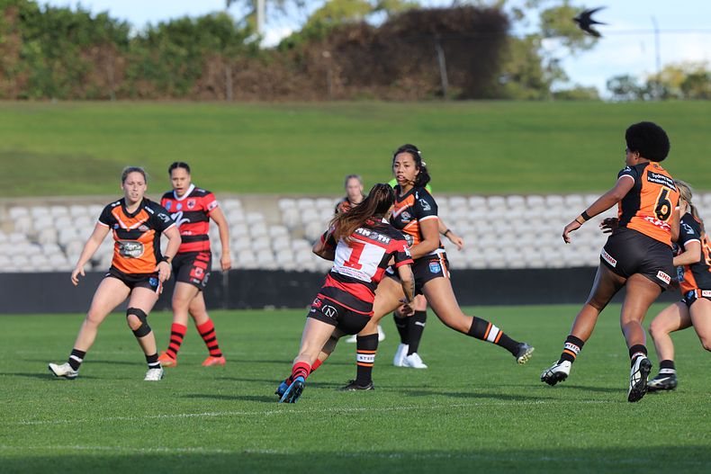 HNWP Semi Final BEARS v WESTSTIGERS