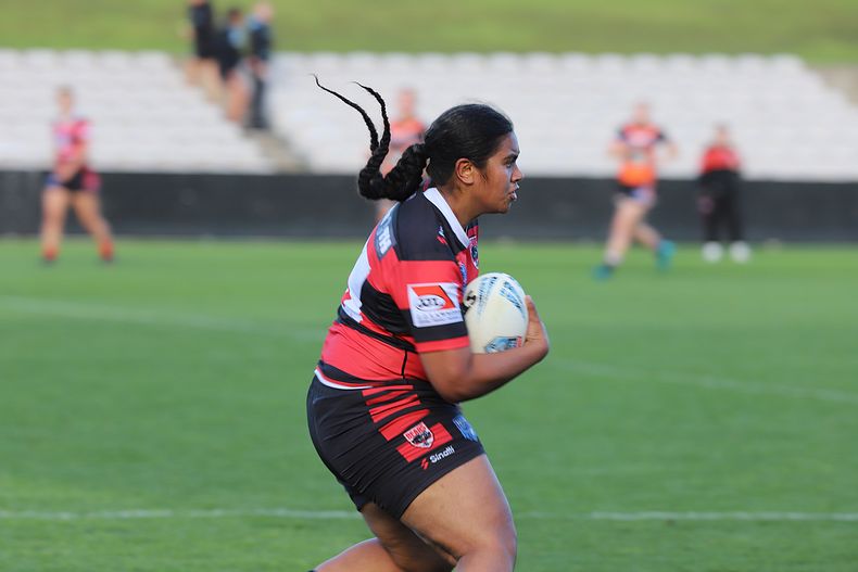 HNWP Semi Final BEARS v WESTSTIGERS