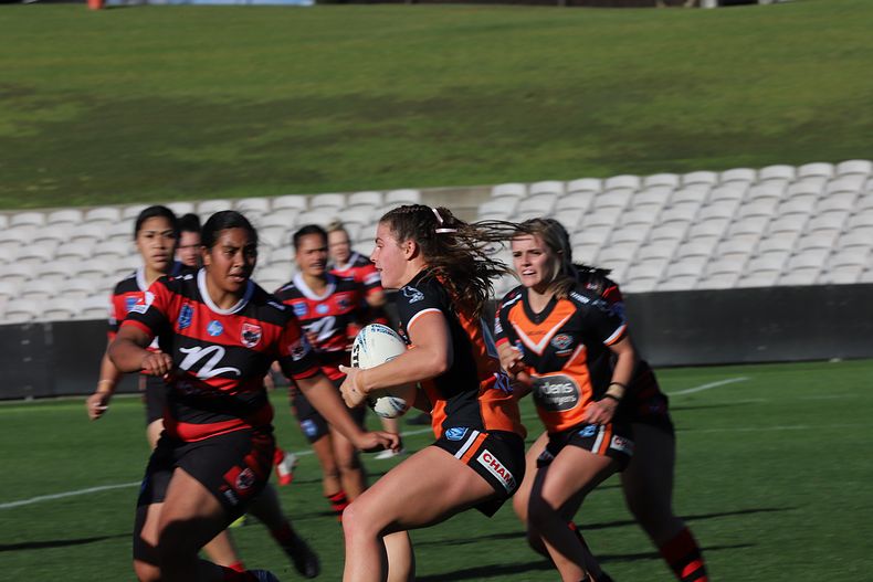 HNWP Semi Final BEARS v WESTSTIGERS