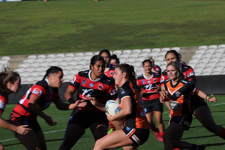 HNWP Semi Final BEARS v WESTSTIGERS