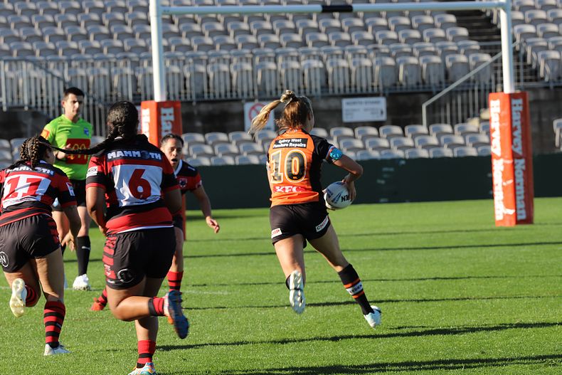 HNWP Semi Final BEARS v WESTSTIGERS