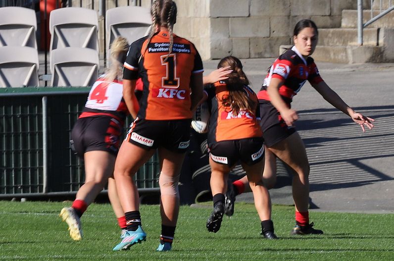 HNWP Semi Final BEARS v WESTSTIGERS