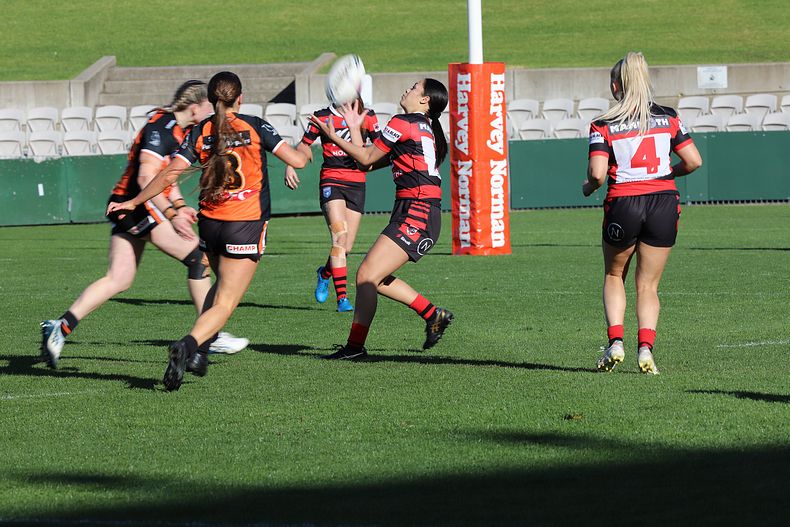 HNWP Semi Final BEARS v WESTSTIGERS