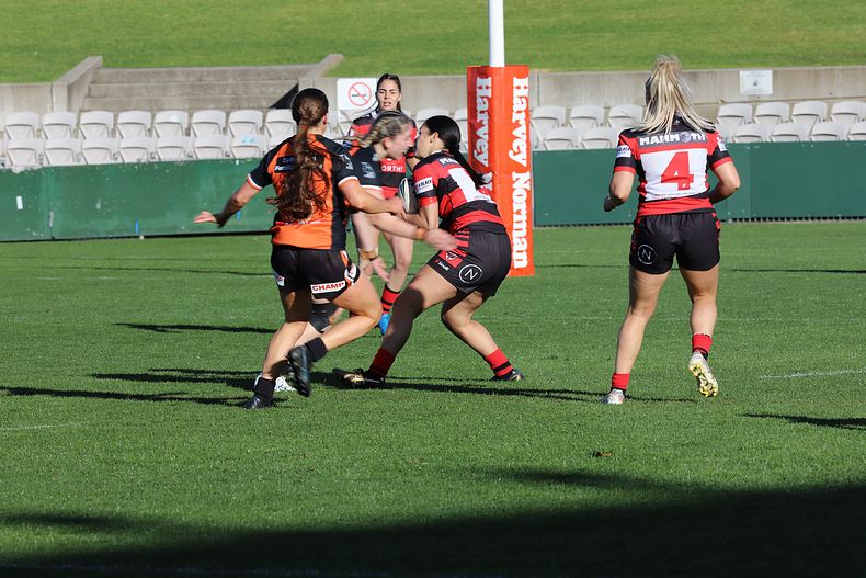 HNWP Semi Final BEARS v WESTSTIGERS