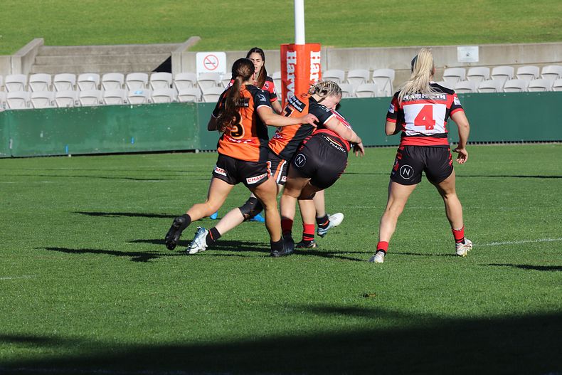 HNWP Semi Final BEARS v WESTSTIGERS