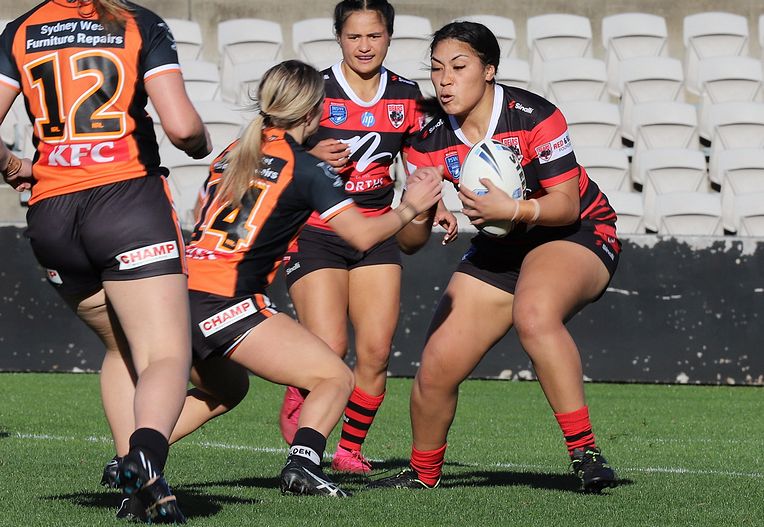 HNWP Semi Final BEARS v WESTSTIGERS