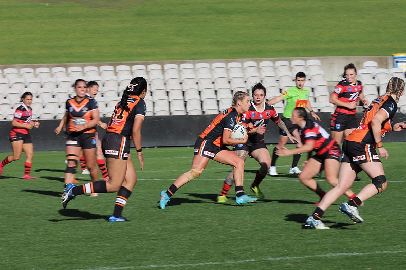 HNWP Semi Final BEARS v WESTSTIGERS