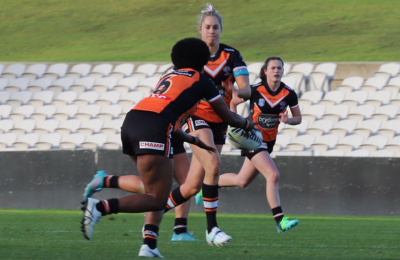 HNWP Semi Final BEARS v WESTSTIGERS