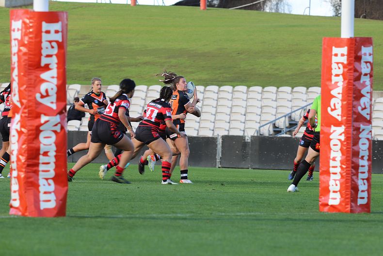 HNWP Semi Final BEARS v WESTSTIGERS