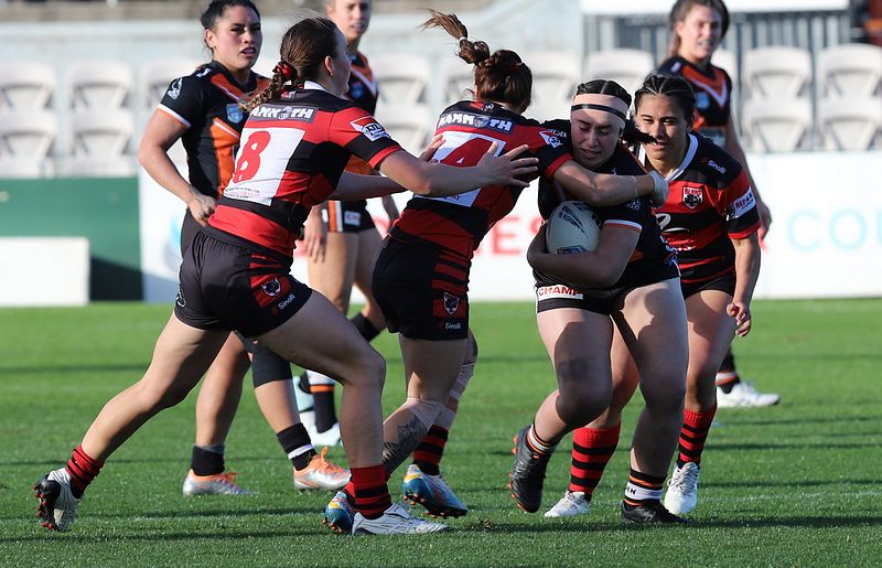 HNWP Semi Final BEARS v WESTSTIGERS