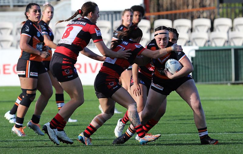 HNWP Semi Final BEARS v WESTSTIGERS