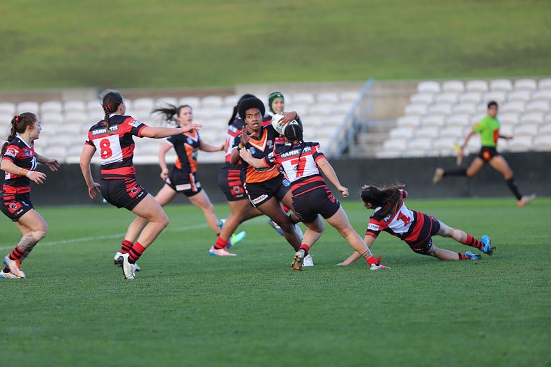 HNWP Semi Final BEARS v WESTSTIGERS