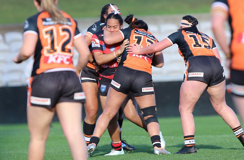 HNWP Semi Final BEARS v WESTSTIGERS