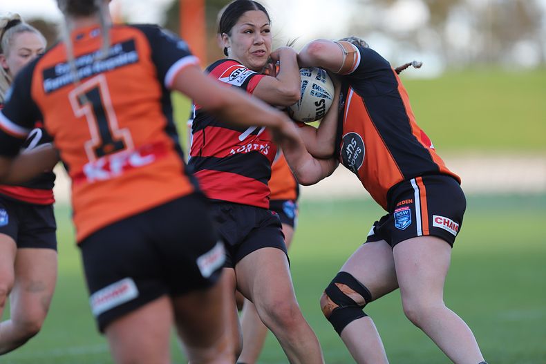HNWP Semi Final BEARS v WESTSTIGERS