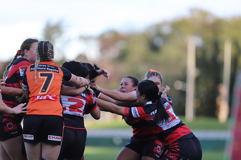HNWP Semi Final BEARS v WESTSTIGERS