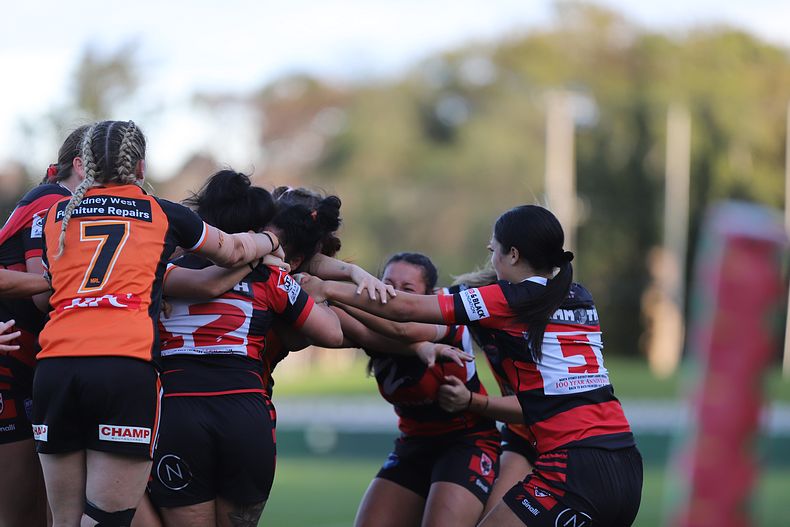 HNWP Semi Final BEARS v WESTSTIGERS
