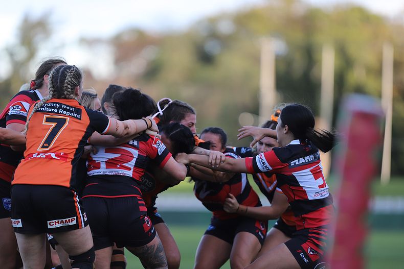 HNWP Semi Final BEARS v WESTSTIGERS