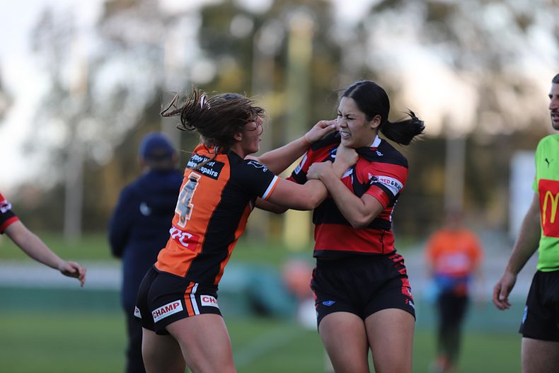 HNWP Semi Final BEARS v WESTSTIGERS