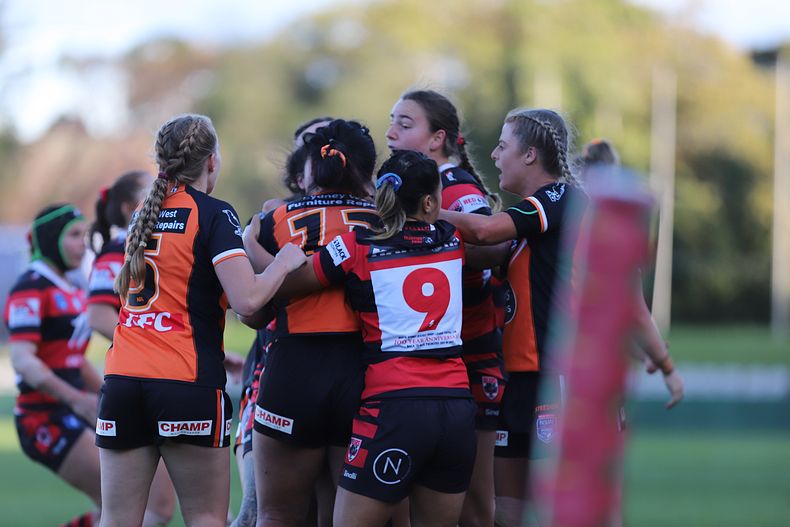 HNWP Semi Final BEARS v WESTSTIGERS