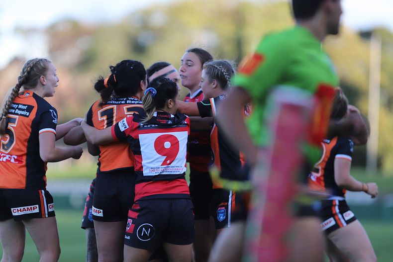HNWP Semi Final BEARS v WESTSTIGERS
