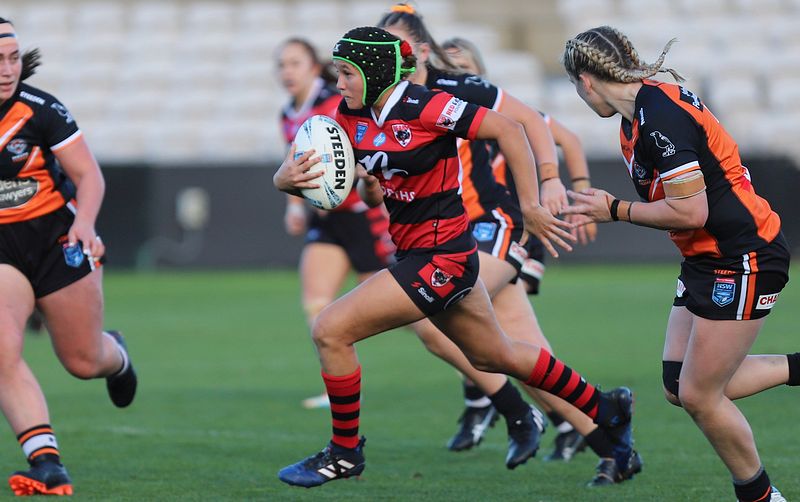 HNWP Semi Final BEARS v WESTSTIGERS
