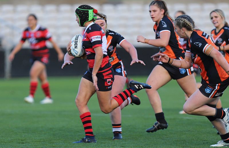 HNWP Semi Final BEARS v WESTSTIGERS