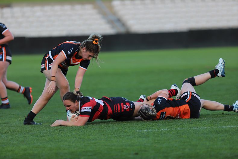 HNWP Semi Final BEARS v WESTSTIGERS