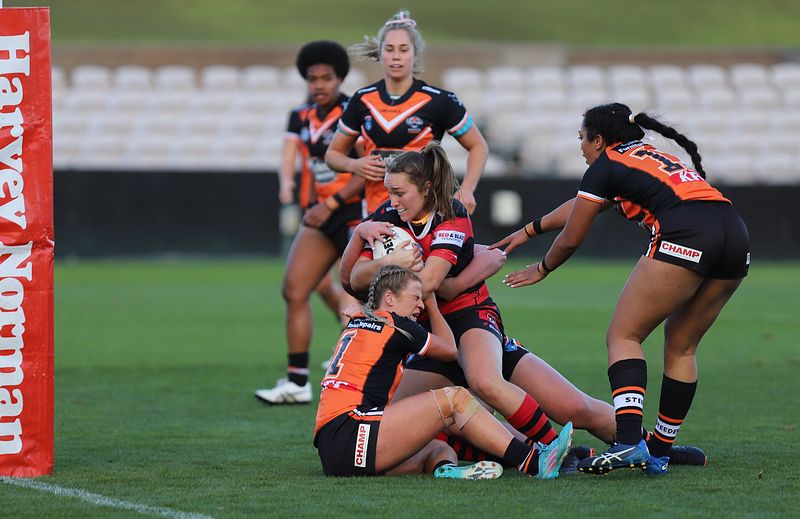 HNWP Semi Final BEARS v WESTSTIGERS