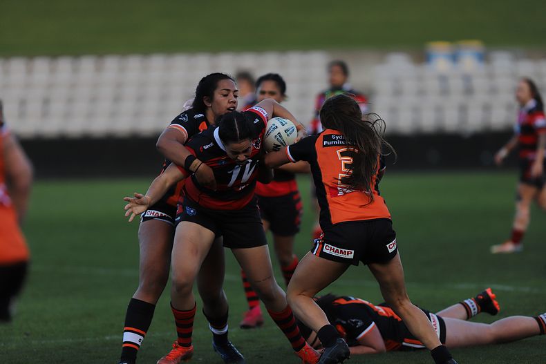 HNWP Semi Final BEARS v WESTSTIGERS