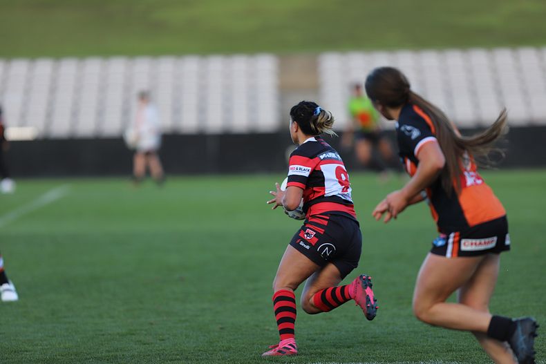 HNWP Semi Final BEARS v WESTSTIGERS