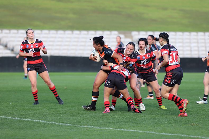 HNWP Semi Final BEARS v WESTSTIGERS