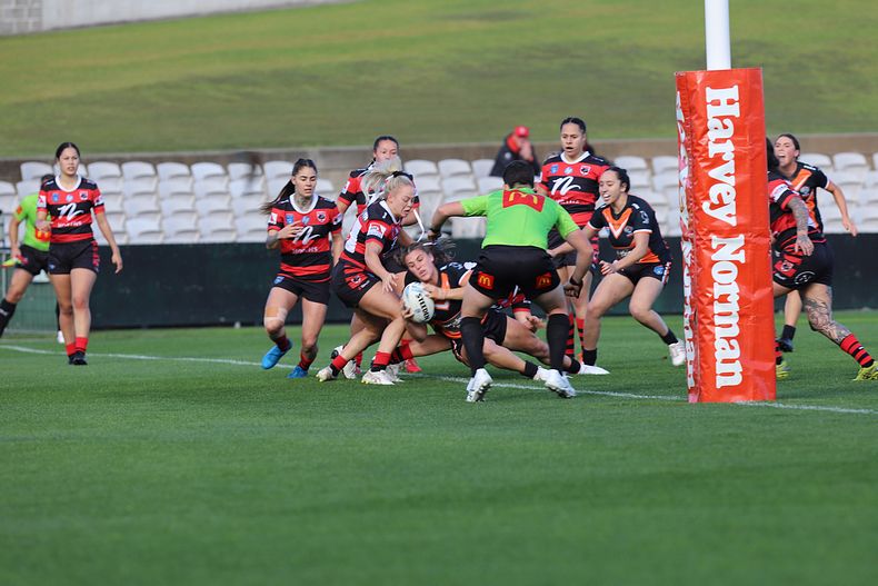 HNWP Semi Final BEARS v WESTSTIGERS
