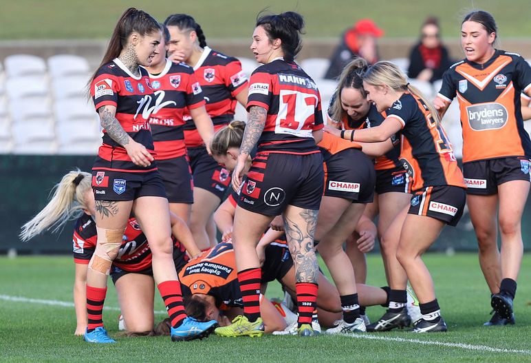 HNWP Semi Final BEARS v WESTSTIGERS