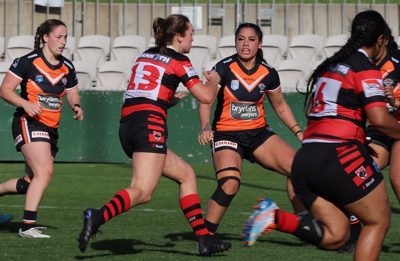 HNWP Semi Final BEARS v WESTSTIGERS