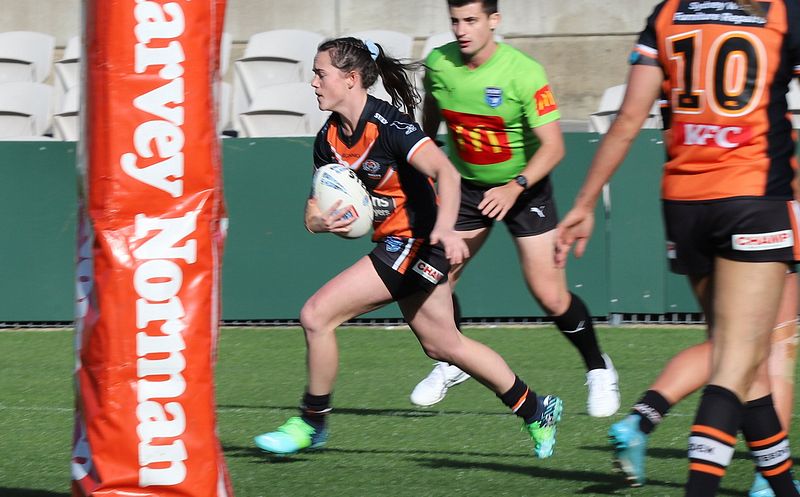 HNWP Semi Final BEARS v WESTSTIGERS