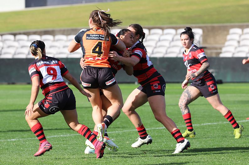 HNWP Semi Final BEARS v WESTSTIGERS